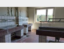 Ein verlassener Waschraum mit mehreren steinernen Waschbecken, gefliesten Wänden und sichtbaren Rohrleitungen. Im Hintergrund befindet sich ein Fenster, das Tageslicht hereinlässt und auf einen Wald hinausblickt.