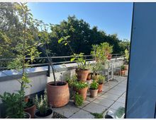 Terrasse mit weißem Fliesenboden, umgeben von einer Metallbrüstung. Mehrere Pflanzen in unterschiedlich großen Töpfen, darunter Bäume und Sträucher, stehen entlang der Brüstung. Im Hintergrund sind grüne Bäume und blauer Himmel sichtbar, rechts steht ein kleiner Tisch mit zwei transparenten Stühlen.
