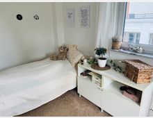 Ein kleines, helles Schlafzimmer mit einem Einzelbett auf der linken Seite, das mit einer weißen Decke und mehreren Kissen dekoriert ist. Rechts daneben steht ein weißes Regal mit einem geflochtenen Korb, Pflanzen und Dekorationsgegenständen; ein Fenster im Hintergrund lässt Tageslicht herein.