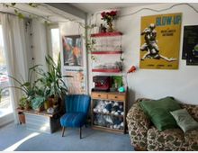 Cozy living room corner beside tall windows with sheer curtains, featuring several potted plants on a low trunk, a blue upholstered chair, and a floral-patterned sofa with green cushions. A small cabinet with shelves of glassware and a coffee machine sits against a white wall decorated with trailing vines, string lights, and large vintage film posters.