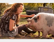 Eine Frau sitzt auf einer Wiese und streichelt ein großes Schwein mit hellrosa Fell und dunklen Flecken; im Hintergrund sind Bäume und das Gebäude eines ländlichen Stalls sichtbar.