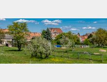 Ländliche Szene mit einer grünen Wiese, blühenden Obstbäumen und einem Holzzaun im Vordergrund. Im Hintergrund sind Häuser mit roten Giebel- und Ziegeldächern sowie einzelne Bäume zu sehen, unter einem blauen Himmel mit kleinen Wolken.