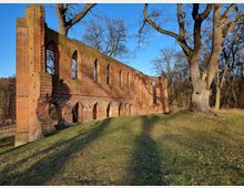 Ruine einer mittelalterlichen Backsteinkirche mit erhaltenen gotischen Bögen und Fenstern, umgeben von einer grasbewachsenen Fläche und alten, kahlen Bäumen in einer bewaldeten Landschaft.