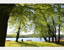 Grüne Parklandschaft mit hohen, belaubten Bäumen, einer Wiese und Sitzbänken am Ufer eines Sees; im Hintergrund ein Steg und bewaldete Hügel.