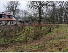 Wohnhaus mit rotem Satteldach am Rand einer ländlichen Wiese, umgeben von laublosen Bäumen und einfachem Holzzaun; im Hintergrund kleine Nebengebäude mit aufsteigendem Rauch.