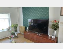 Wohnzimmer-Ecke mit großem Flachbildfernseher auf einem niedrigen Holz-Sideboard vor einer türkis gemusterten Akzentwand. Links ein Fenster mit Rollo, mehrere Zimmerpflanzen auf Ständern und ein Heizkörper; auf dem Sideboard stehen Kerzen und eine Vase mit Rosen.