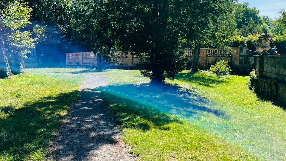 Ein geschwungener Schotterweg führt durch eine sonnige Rasenfläche mit hohen Bäumen. Im Hintergrund verläuft eine steinerne Balustrade mit dekorativen Elementen entlang des Parks.