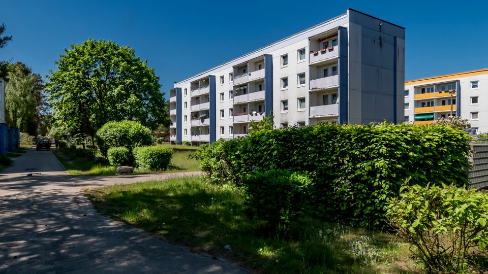 Wohnsiedlung mit mehrstöckigen, hellen Plattenbau-Mehrfamilienhäusern und Balkonen, umgeben von Grünflächen, Hecken und Bäumen. Ein gepflasterter Fußweg führt zwischen den Gebäuden durch die Anlage unter blauem Himmel.