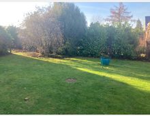 Rasenfläche in einem Garten, umgeben von dichten Büschen und Bäumen. Vorne steht ein großer blauer Blumentopf, im Hintergrund sind vereinzelt Dächer und ein kahler Baum zu sehen.