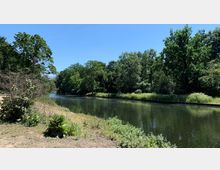 Flussufer mit dicht bewachsener Vegetation auf beiden Seiten, Blick auf ruhiges Wasser, umgeben von Bäumen und grünen Sträuchern, unter klarem blauen Himmel.