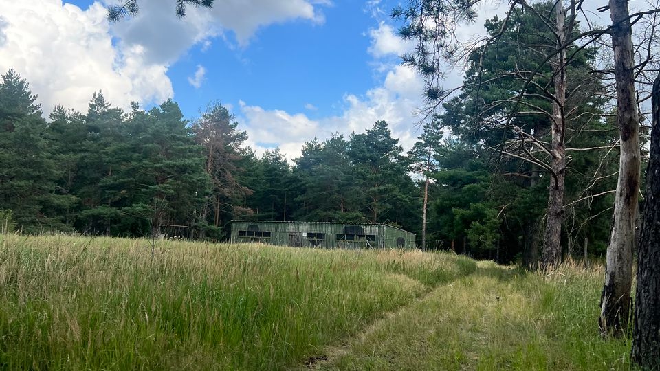 Wiesenfläche mit schmalem Trampelpfad, umgeben von Kiefernwald; im Hintergrund steht ein langes, niedriges Gebäude am Waldrand. Darüber sind blauer Himmel und große, helle Wolken zu sehen, eingerahmt von Baumästen.