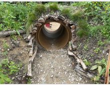 Ein kleiner Erd-Tunnel aus Betonrohr, umgeben von Holzstücken, Grasbüscheln und Wildpflanzen. Der Tunnel ist eingebettet in eine natürliche Umgebung mit unebenem Boden und Kies.