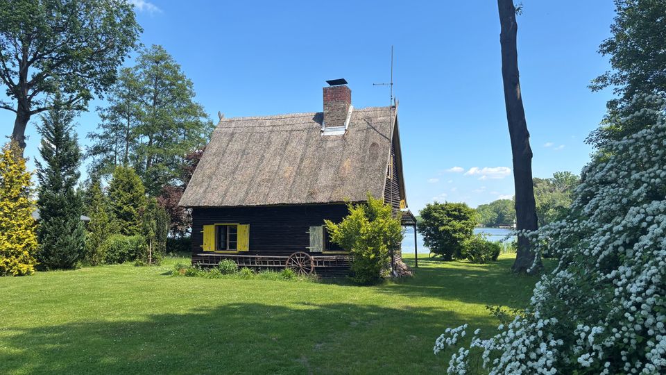 Kleines dunkles Holzhaus mit Reetdach, Schornstein und gelben Fensterläden auf einer großen grünen Wiese, umgeben von hohen Bäumen und blühenden Sträuchern. Im Hintergrund ist ein Seeufer unter blauem Himmel zu sehen.