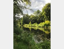 Flussufer in einer bewaldeten Landschaft, gesäumt von hohen Bäumen und dichtem Grün. Der ruhige Fluss reflektiert die umliegenden Pflanzen und den Himmel mit einigen Wolken.