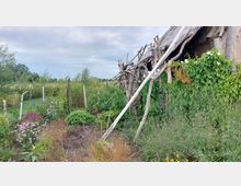 Ein rustikaler Garten mit einem einfachen Holzschuppen, bedeckt mit Kletterpflanzen und umgeben von wild wachsenden Blumen und Sträuchern. Im Hintergrund sind eine Wiese und vereinzelte Bäume zu sehen, unter einem wolkigen Himmel.