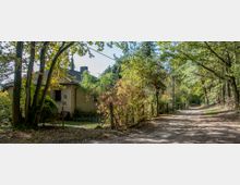 Ein schmaler, unbefestigter Weg führt durch einen bewaldeten Bereich, gesäumt von Bäumen und Büschen. Links ist ein kleines, beige gestrichenes Haus mit dunklem Dach und umzäuntem Garten zu sehen, umgeben von dichter Vegetation.