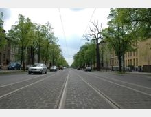 Straße mit Straßenbahnschienen in der Mitte, umgeben von Bäumen und angrenzenden Gebäuden auf beiden Seiten. Autos fahren auf den Fahrspuren, und die Oberleitung der Straßenbahn ist über der Straße sichtbar.
