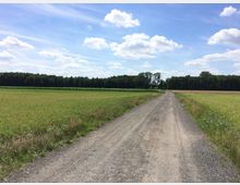Schotterweg, der durch eine ländliche Landschaft mit Feldern und Wiesen führt, umgeben von einer Baumreihe im Hintergrund unter einem leicht bewölkten, blauen Himmel.