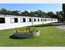 Langes weiß gestrichenes Stallgebäude mit mehreren offenen Fenstern, umgeben von einer grünen Wiese. Im Vordergrund befindet sich ein runder Blumentrog mit bunten Blumen, während im Hintergrund Bäume und ein klarer Himmel zu sehen sind.