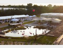 Eine weitläufige Veranstaltungslocation im Freien mit einem künstlichen Teich, umgeben von Grünflächen, pinken Flamingo-Dekorationen und schwimmenden weißen Figuren. Im Hintergrund sind große weiße Zelte sowie ein Glasgebäude zu sehen, mit zahlreichen Menschen, die weiße Kleidung tragen, sowie Sonnenschirmen und einem erhöhten Podium mit Mikrofon.