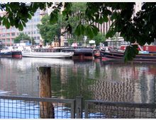 Ein Stadtkanal mit mehreren festgemachten Booten und Schiffen, umgeben von modernen Gebäuden. Im Vordergrund sind ein Zaun und ein Holzpfahl sowie überhängende Baumblätter sichtbar.