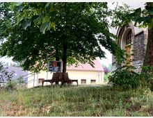Eine kleine Grünfläche mit Wiese und einem großen Baum, unter dem eine Holzbank und ein Schaukasten stehen. Rechts im Bild ist ein Teil eines Gebäudes aus Back- und Naturstein mit einer bogenförmigen Tür sichtbar; dahinter sind Dächer benachbarter Häuser zu sehen.