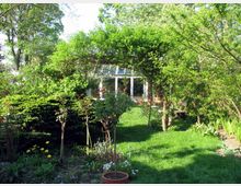 Ein üppiger Garten mit grünem Rasen, verschiedenen Sträuchern und Bäumen, die einen natürlichen Torbogen formen. Im Hintergrund ist ein gläserner Wintergarten zu sehen, umgeben von Gartenmöbeln.