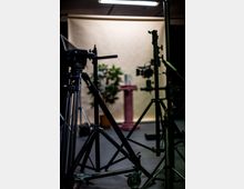 Ein Fotostudio mit Stativausrüstung und Beleuchtung im Vordergrund, im Hintergrund ein cremefarbener Hintergrund, eine Pflanze und ein Podest mit Dekoration.