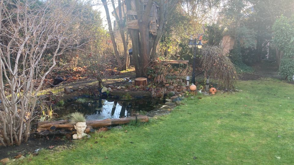 Ein Garten mit einem kleinen Teich, umgeben von Bäumen, Sträuchern und vereinzelt dekorativen Elementen wie einer Steinfigur. Im Hintergrund stehen eine hohe Laterne und ein Baumhaus, und der Boden ist teils mit Rasen und teils mit Laub bedeckt.