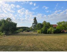 Weite Wiese mit trockenem Gras, umgeben von Bäumen und Sträuchern. Im Hintergrund sind ein kleines Gebäude, ein Maschendrahtzaun und ein rotes Dach eines Hauses sichtbar, unter einem Himmel mit vereinzelten Wolken.