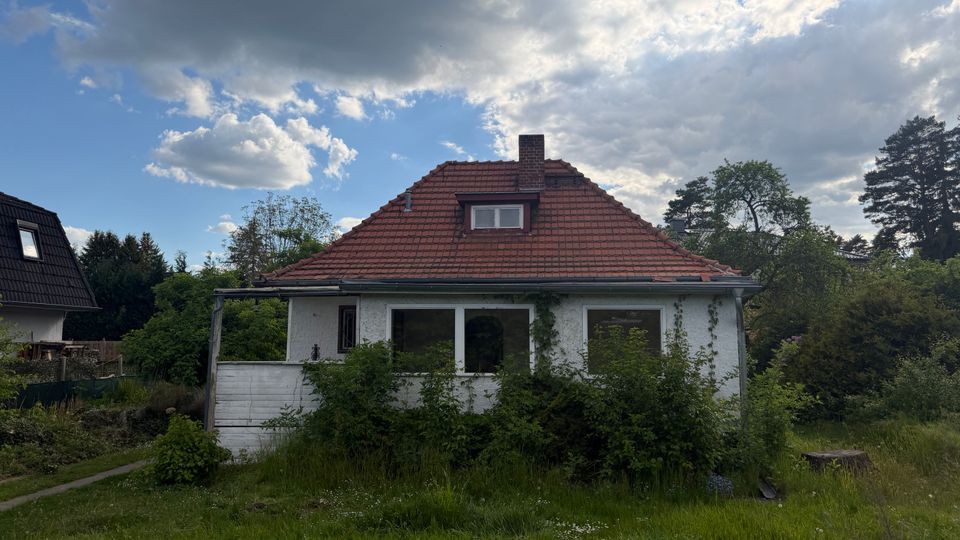 Einfamilienhaus mit weißer Fassade und rotem Ziegeldach mit Schornstein, davor eine Veranda mit großen Fenstern. Umgeben von hohem Gras, dichtem Bewuchs und Bäumen unter einem wolkigen Himmel.
