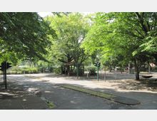 Grüne Parklandschaft mit breiten Fußwegen und kleinen Verkehrsflächen, die mit Ampeln und Verkehrsschildern ausgestattet sind. Im Zentrum steht ein großer Baum mit dichtem Blätterdach, daneben ein hölzernes Unterstandsdach.