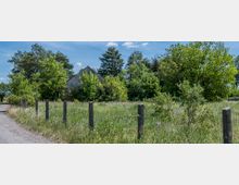 Wiese mit hohen Gräsern und einzelnen Sträuchern, umgeben von Bäumen. Im Hintergrund ist ein teilweise von Vegetation verdecktes Gebäude mit spitzem Dach sichtbar, links führt ein unbefestigter Weg entlang der Wiese.