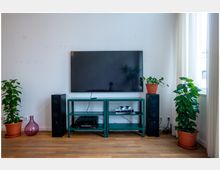 Ein Wohnzimmer mit einem an der Wand montierten Flachbildfernseher, darunter zwei grüne Regale mit elektronischen Geräten und Spielecontrollern. Links und rechts davon stehen schwarze Lautsprecher, umgeben von Zimmerpflanzen in Töpfen; auf der rechten Seite befindet sich ein großes Fenster mit weißen Vorhängen.