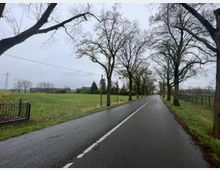 Eine gerade Landstraße führt durch eine ländliche Umgebung, gesäumt von kahlen Bäumen. Links erstreckt sich eine große grüne Wiese mit Strommasten im Hintergrund, während rechts ein Zaun und weiteres Grünland sichtbar sind.