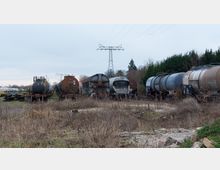 Mehrere abgestellte Güterwaggons, darunter Kesselwagen, stehen auf Gleisen in einer überwucherten und ungenutzten Bahnanlage. Im Hintergrund sind Bäume, Strommasten und ein wolkiger Himmel zu sehen.