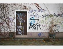Wand einer Gebäudeaußenfassade mit einer kleinen braunen Tür, die von Graffiti bedeckt ist. Kletterpflanzen wachsen entlang der Wand, und am Boden sind Pflastersteine sowie zwei Metallpflanzenkübel zu sehen.