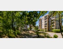 Wohnsiedlung mit mehrstöckigen Plattenbauten, umgeben von Bäumen und Rasenflächen. Im Vordergrund befindet sich ein schattiger Weg mit dichten Grünflächen.