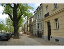 Straßenszene mit hohen Bäumen auf der linken Seite und einer Reihe historischer Wohnhäuser mit hellen Fassaden auf der rechten Seite, darunter einige mit dekorativen Balkonen; geparkte Autos am Straßenrand und ein gepflasterter Gehweg im Vordergrund.