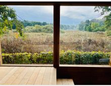 Blick aus einem Holzgebäude durch eine große Fensterfront auf eine Landschaft mit einer sumpfigen Wiese, dichtem Schilf und Bäumen im Hintergrund. Im unteren Bereich des Fensters sind eine hölzerne Terrasse und eine Hecke mit grün-gelben Blättern zu sehen.