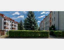 Mehrstöckige Wohngebäude mit hellen Fassaden und roten Dächern flankieren einen kleinen Innenhof, der durch eine Hecke und eine große Tanne im Mittelpunkt gestaltet ist. Im Vordergrund ist ein asphaltierter Weg sichtbar, der die gepflegte Wohnanlage betont.