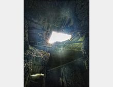 Blick nach oben in ein verfallenes Gebäude mit einem großen Loch im Dach, durch das Licht einfällt. Der Raum ist dunkel, mit verwittertem Holz und überwachsenen Wänden, die von Vegetation bedeckt sind.