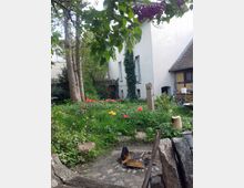 Garten mit einer Feuerstelle im Vordergrund, umgeben von bunten Blumen, Bäumen und Sträuchern. Im Hintergrund steht ein weißes Gebäude mit schlichten Fassaden und Rankpflanzen an der Wand.