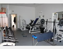 Raum mit Fitnessgeräten, darunter eine Hantelbank, Gewichtsstangen und mehrere Trainingsmaschinen. Links stehen Hanteln auf einem Rack, im Hintergrund ist eine offene Tür mit einem Hund im Türrahmen sichtbar.