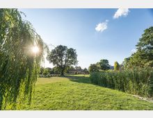 Ein Park mit grüner Wiese, großen Bäumen und Schilf am rechten Bildrand. Im Hintergrund sind ein rotes Dach und eine kleine ländliche Struktur sichtbar, während die Sonne durch die Äste eines Baums scheint.