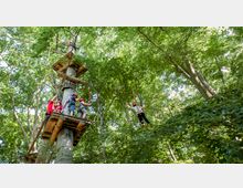 Eine Hochseilgarten-Plattform in einem Wald mit mehreren Personen, die Sicherheitsausrüstung tragen; eine Person überquert ein gespanntes Seil, während andere auf der Holzplattform stehen. Die Umgebung ist dicht bewaldet mit grünem Laub.