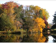 Herbstliche Parklandschaft mit Bäumen in lebhaftem Gelb, Orange und Rot, die sich in einem ruhigen Teich spiegeln. Im Hintergrund ein kleiner, steinerner Bogenbrücke und ein Pavillon am Ufer.