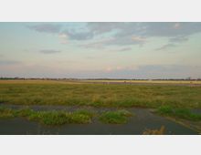Weite urbane Grünfläche mit einer Mischung aus Wiesen und asphaltierten Wegen im Vordergrund. Im Hintergrund erstreckt sich ein offener Himmel mit leichter Bewölkung, angrenzend an eine niedrige Bebauung am Horizont.