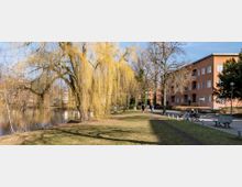 Ein grüner Park mit einem kleinen See links, einer prominent hängenden Weide im Vordergrund und einem orangefarbenen Wohngebäude im Hintergrund. Auf der rechten Seite befinden sich ein Gehweg, Sitzbänke und vereinzelt Spaziergänger.