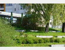 Grünfläche mit kleinen Betonstufen, umgeben von Büschen, Bäumen und gepflegtem Rasen, im Hintergrund ein mehrstöckiges Wohngebäude mit Balkonen und großen Fenstern.